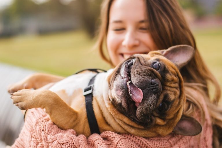 non toxic pet product