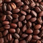 collection of brown jojoba seeds before pressing