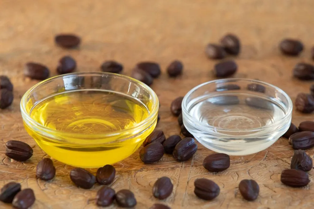 two small glass bowls on filled with golden unrefined jojoba oil and the other with clear deodorized jojoba there are jojoba seeds on the wooden tabletop around them