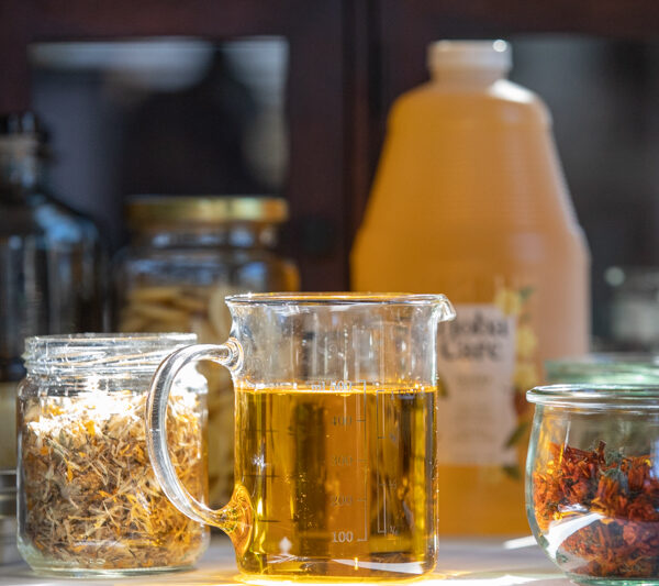 Close-up of jojoba oil in a glass beaker, with dried herbs and flowers in the background.