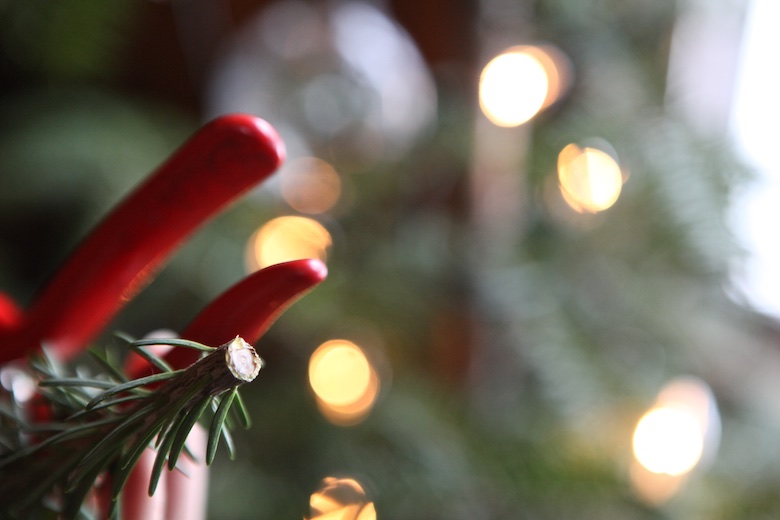 jojoba for pine sap removal