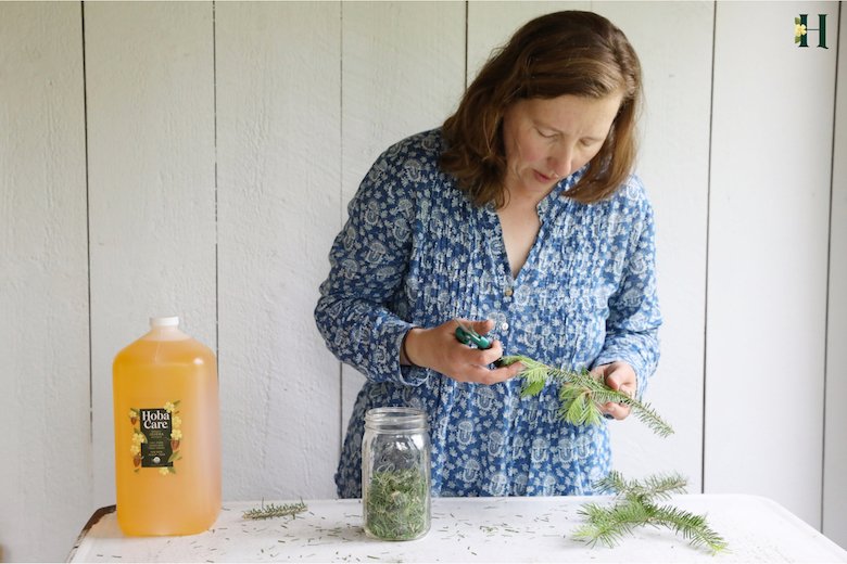 Cari Processing balsam to infuse in jojoba