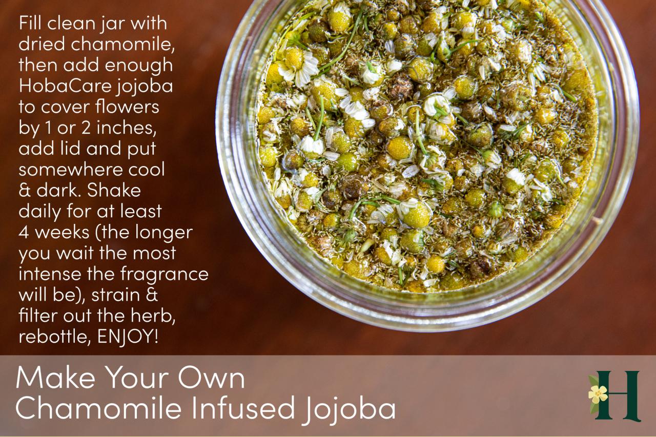 Making chamomile infused jojoba