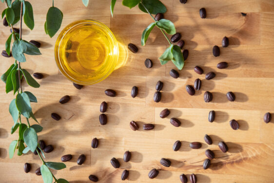 The Original Jojoba Company | Retail & Wholesale Jojoba Oil