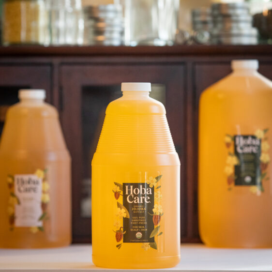 bottles of golden HobaCare Jojoba in professional sizes in front of a dark wooden cabinet