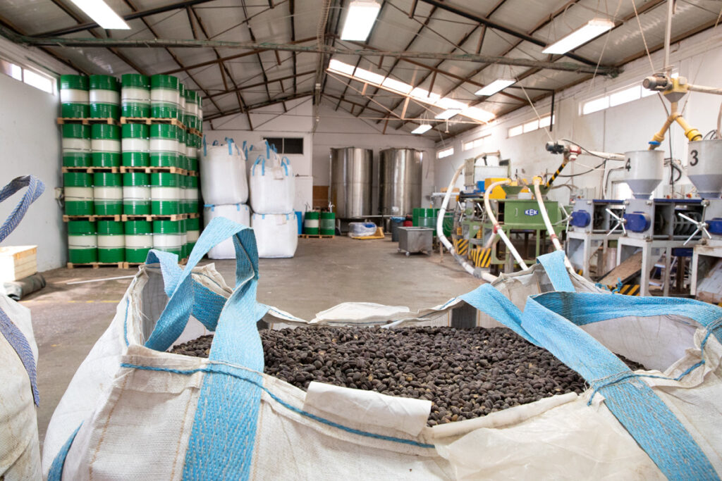 Jojoba oil processing facility showing bag of jojoba seeds in front with drums of jojoba and jojoba expeller presses in the background