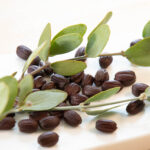 brown jojoba seeds with a few jojoba branches on a white marble surface to show texture and color of seeds and branches