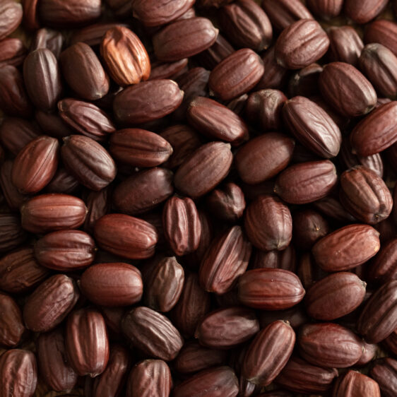 HobaCare Jojoba - Image 7