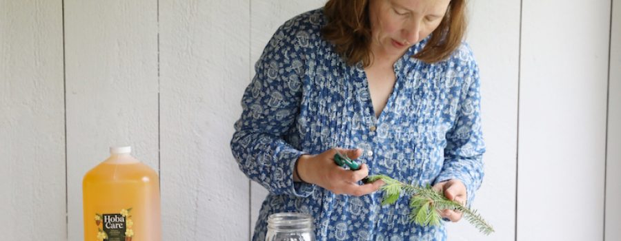 Cari Processing balsam to infuse in jojoba