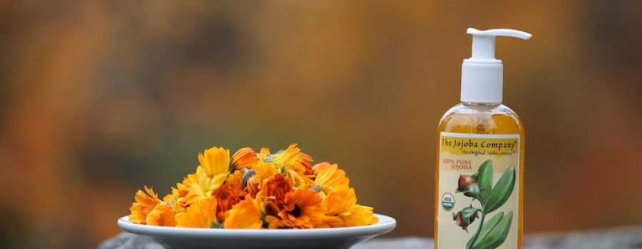 calendula infused jojoba