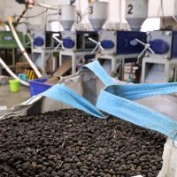 large tote of jojoba seeds in the foreground with expeller presses for extracting the jojoba oil in the background