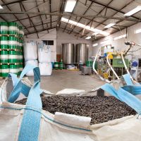 Jojoba oil processing facility showing bag of jojoba seeds in front with drums of jojoba and jojoba expeller presses in the background