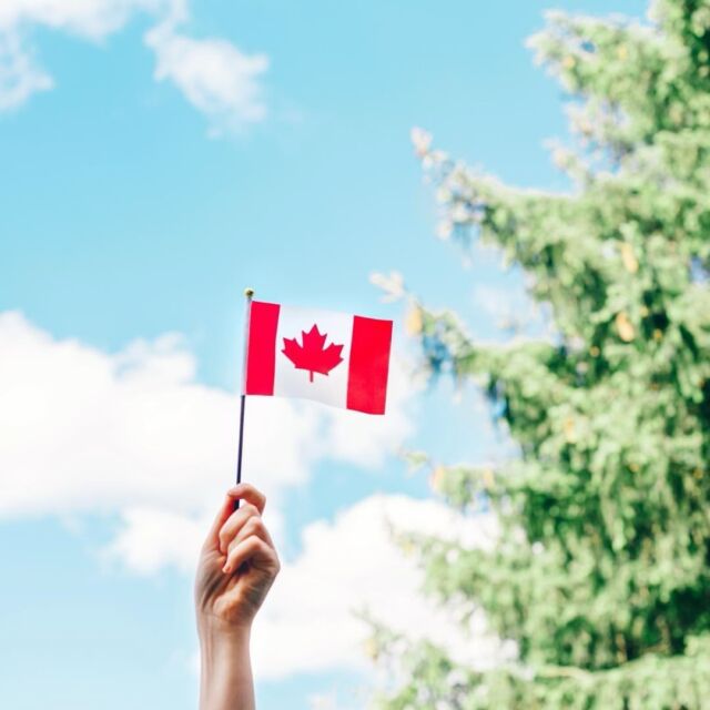 For our friends up in Canada, HobaCare is now just a click away on Amazon Canada. If you have friends & family living in the great white north, share the love of HobaCare with them. Simply search for HobaCare on Amazon.ca or use the link in our bio.