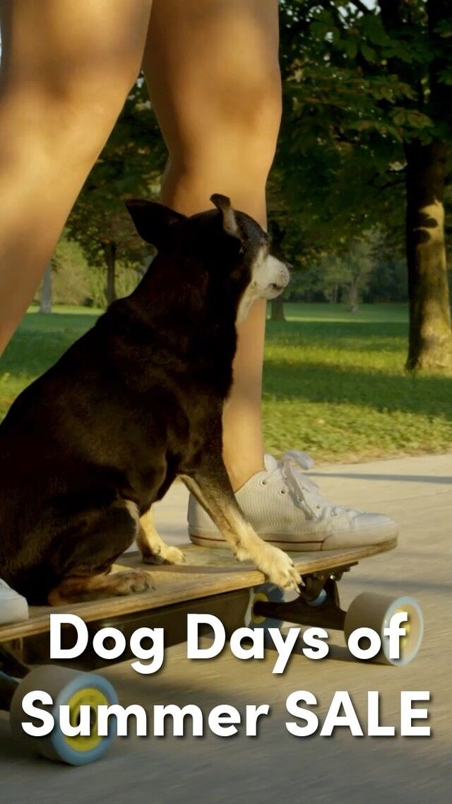 Our Dog Days of Summer Sale is on now - hurry, it won't last long.  Save now: https://bit.ly/3GxyGHN